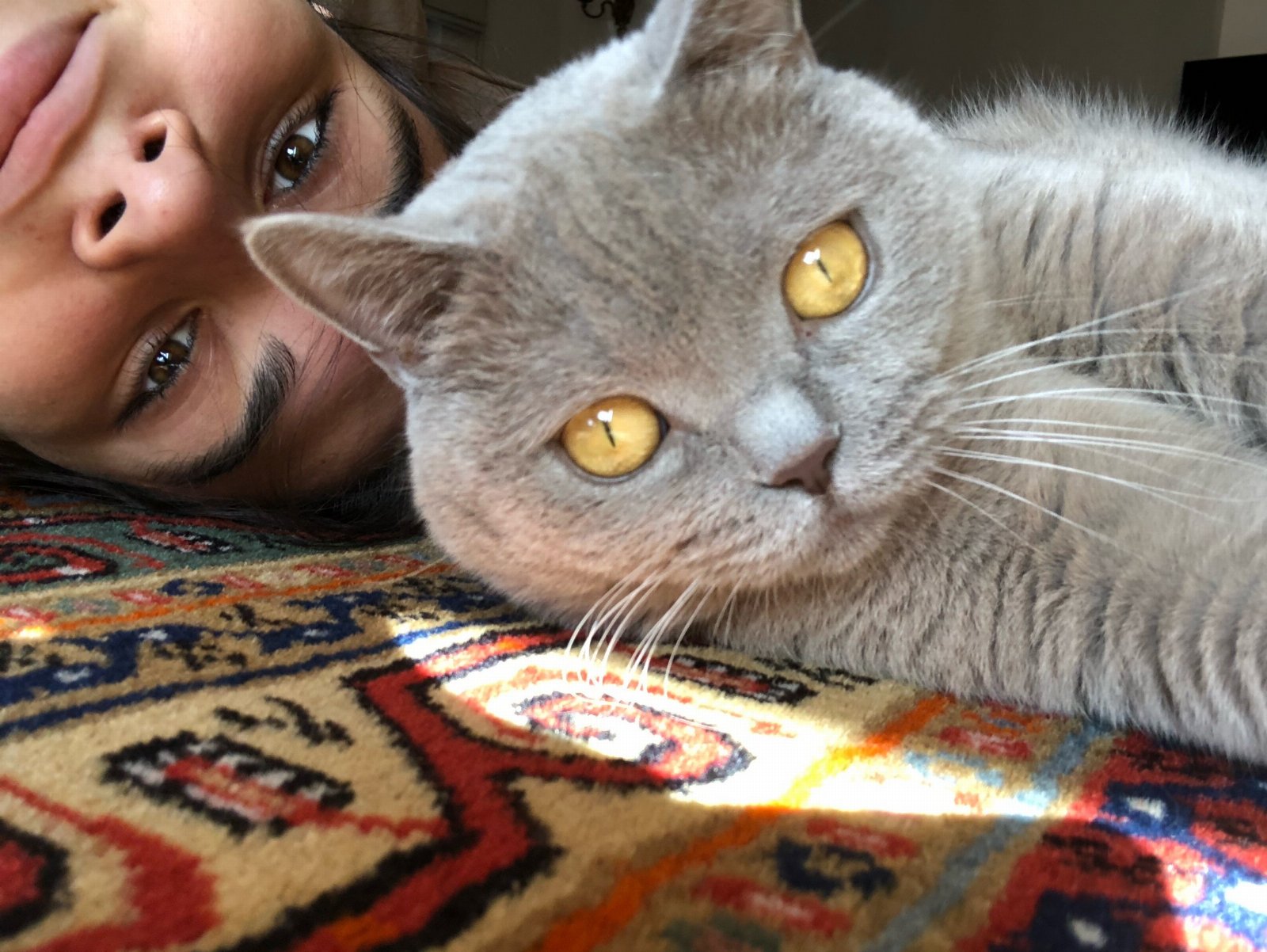 Nise, pet sitter in Amsterdam, photo 5