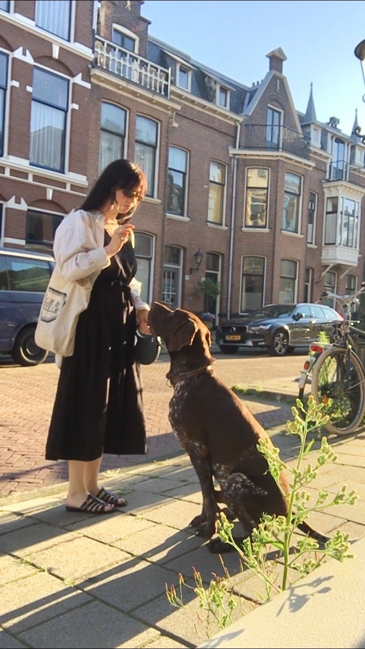 Anna, pet sitter in Den Haag, photo 1