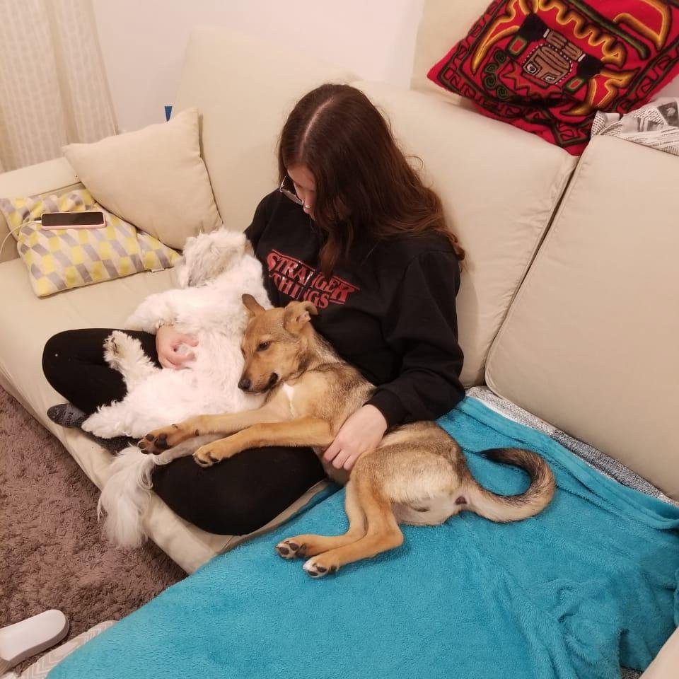 Giovanna, pet sitter in Amsterdam, photo 4