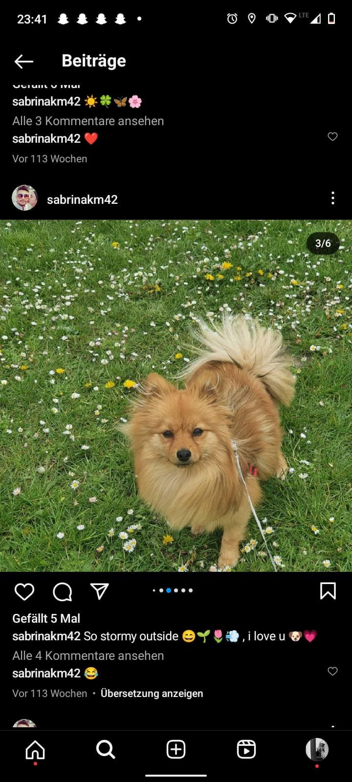 Sabrina, pet sitter in Budenheim, photo 1