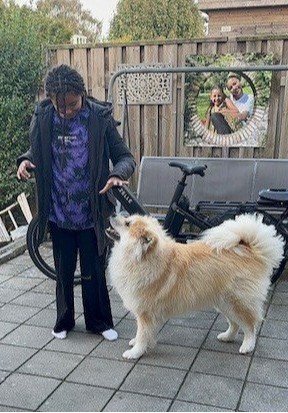 Toya, pet sitter in Hillegom, photo 1
