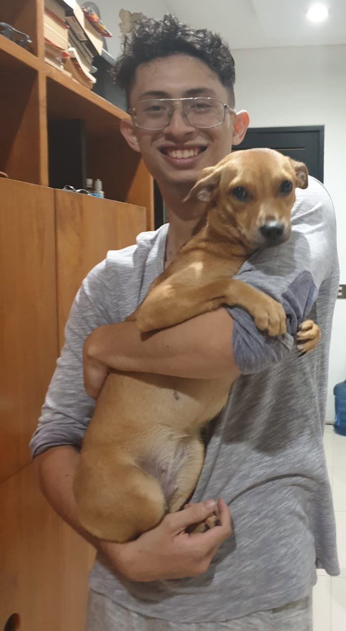 Gianni, pet sitter in Leeuwarden, photo 1