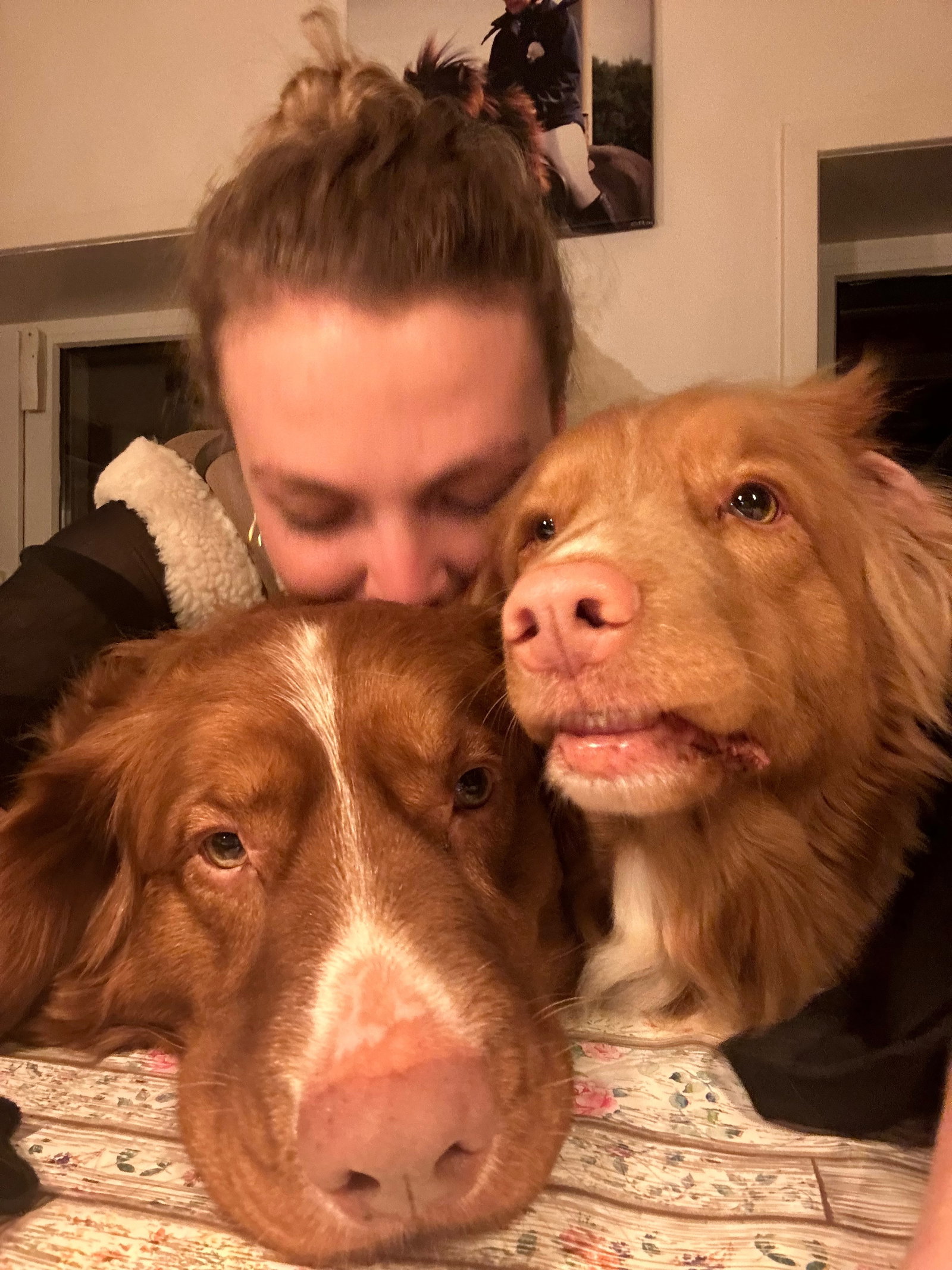 Anna, pet sitter in Amsterdam, photo 2