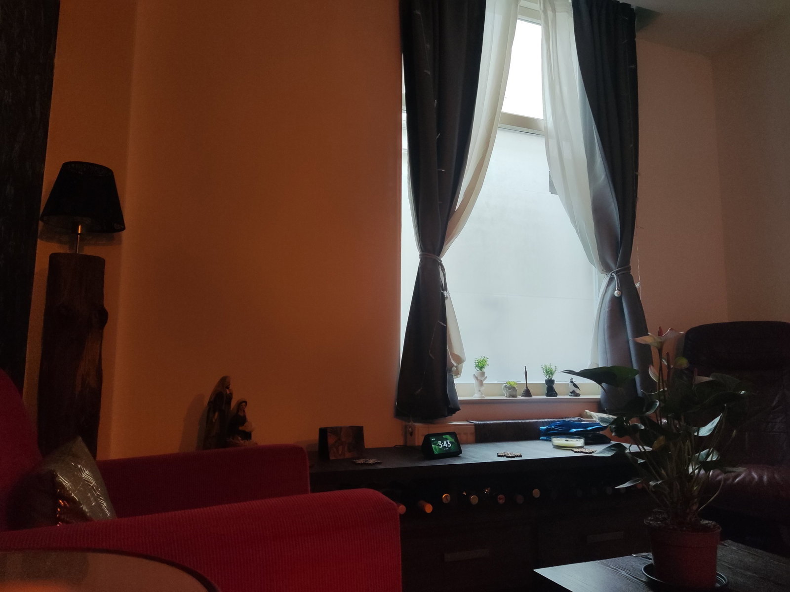 Julieth Pilar, dierenoppas in Utrecht, foto 1