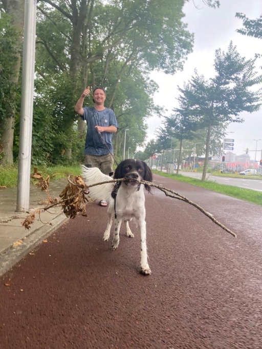 Dennis, pet sitter in Utrecht, photo 1
