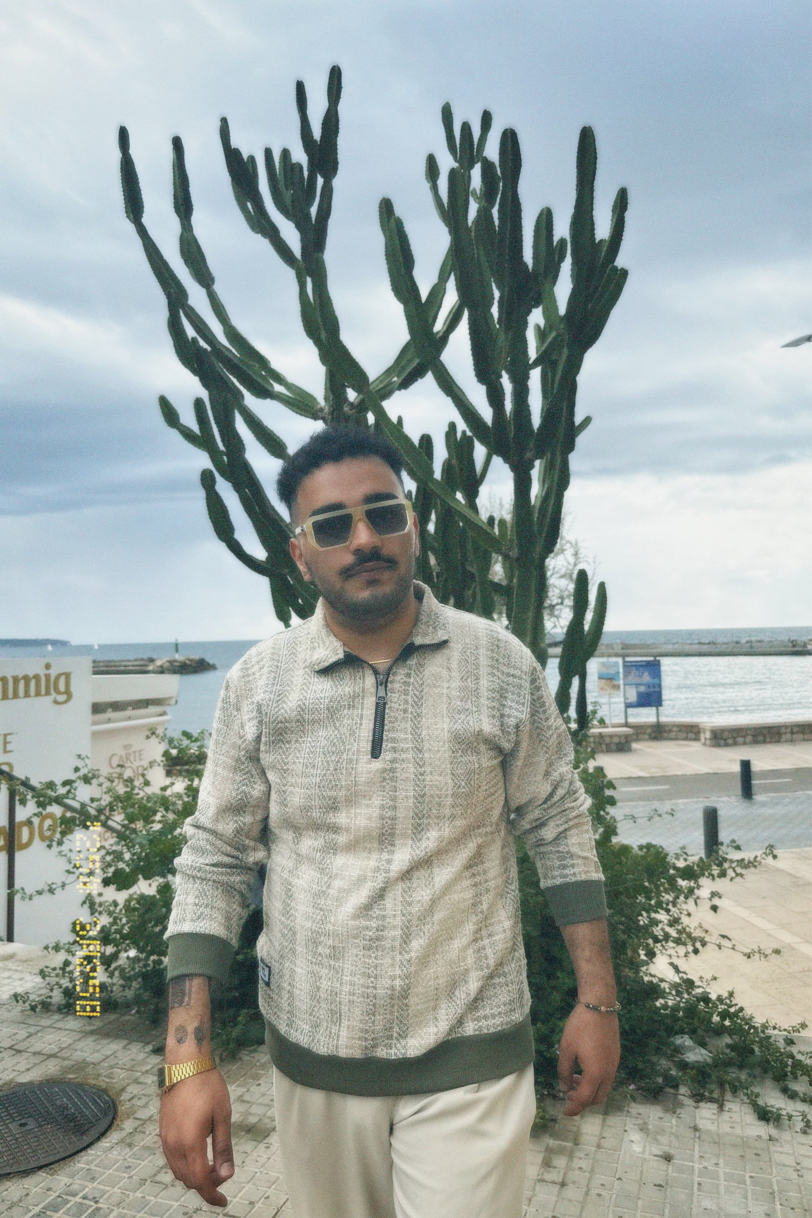 Alireza, Tiersitter in Essen, Foto 1