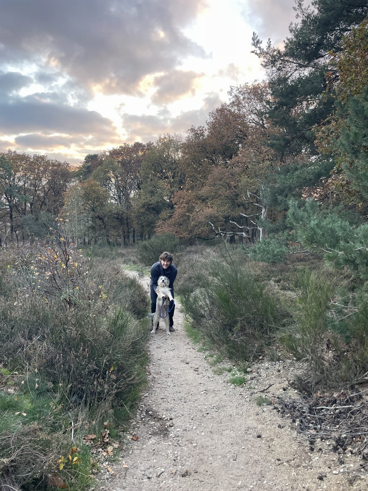 Guusje, pet sitter in Amsterdam, photo 5