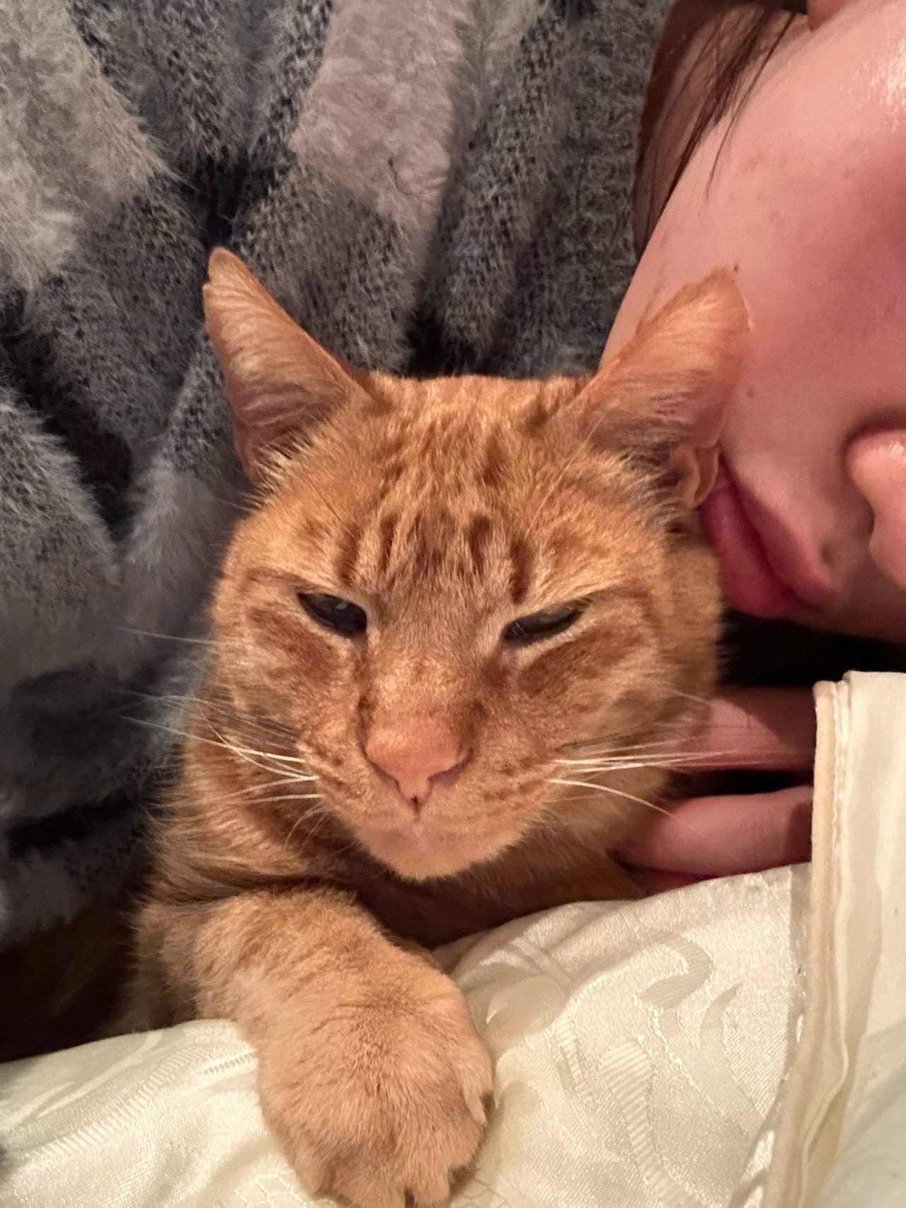 Hongming, pet sitter in Schiedam, photo 1