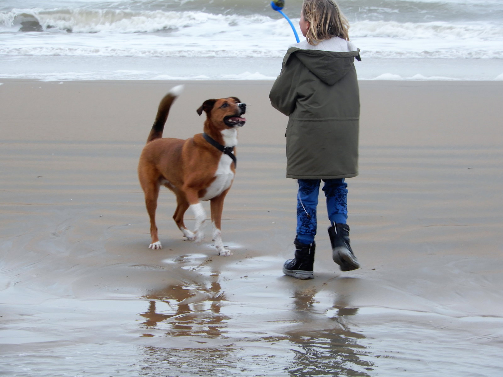 Arnoud, pet sitter in Haarlem, photo 3