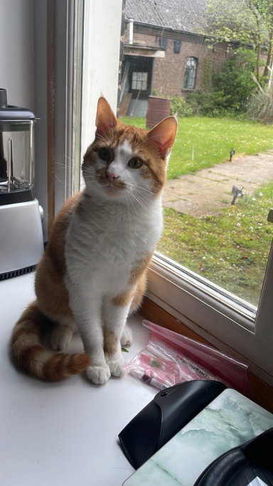 nienke, pet sitter in Duiven, photo 2