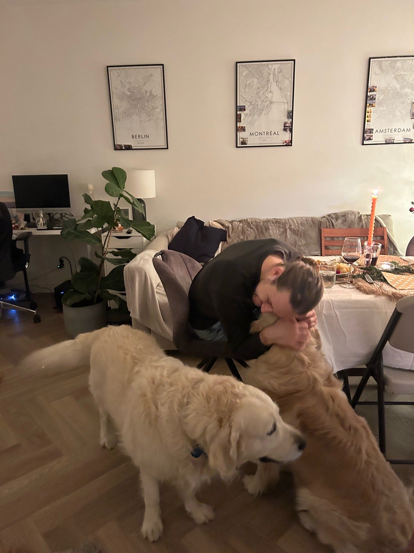 Marta, pet sitter in Uitgeest, photo 1