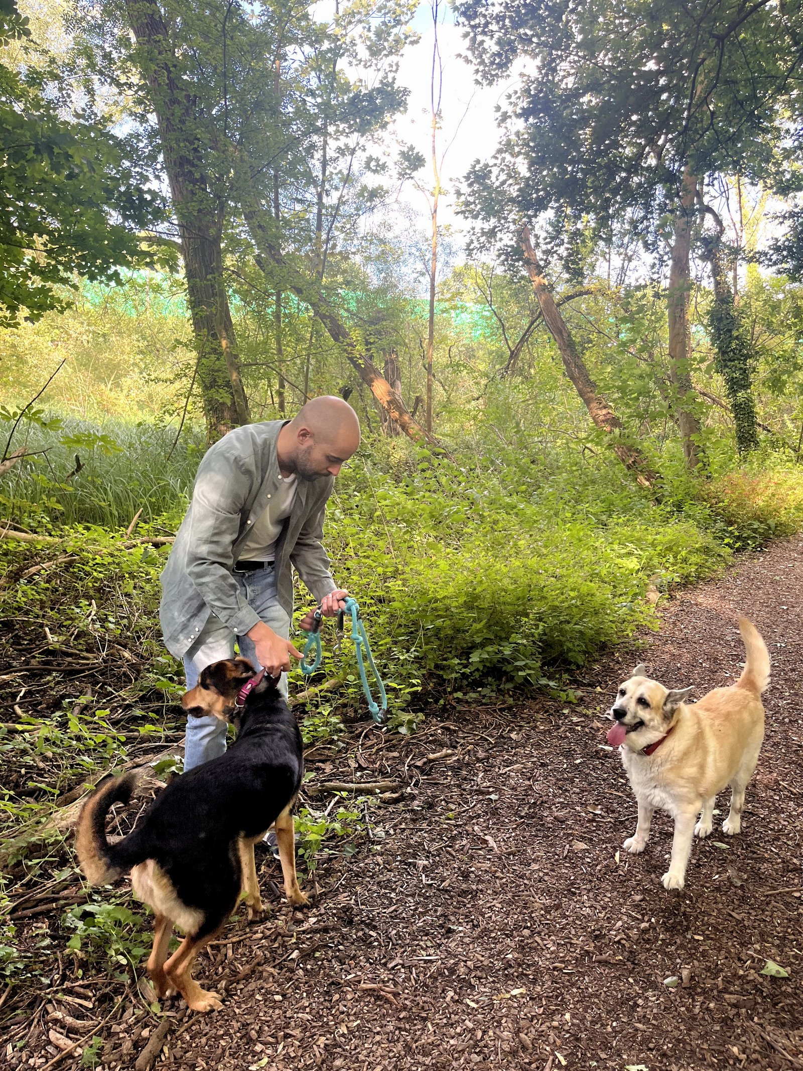 Dominga, pet sitter in Amsterdam, photo 5