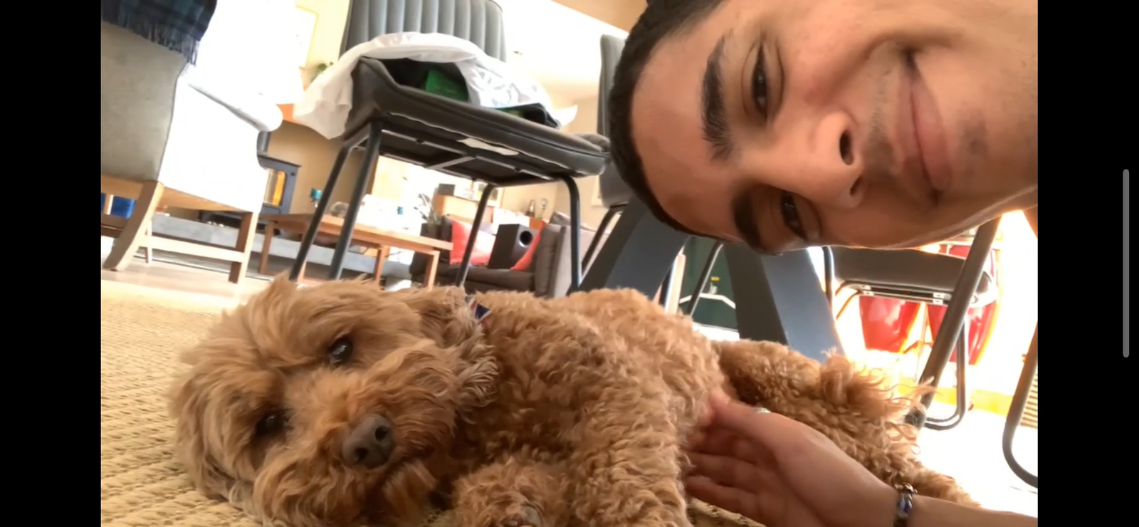 Adham, pet sitter in Tilburg, photo 3