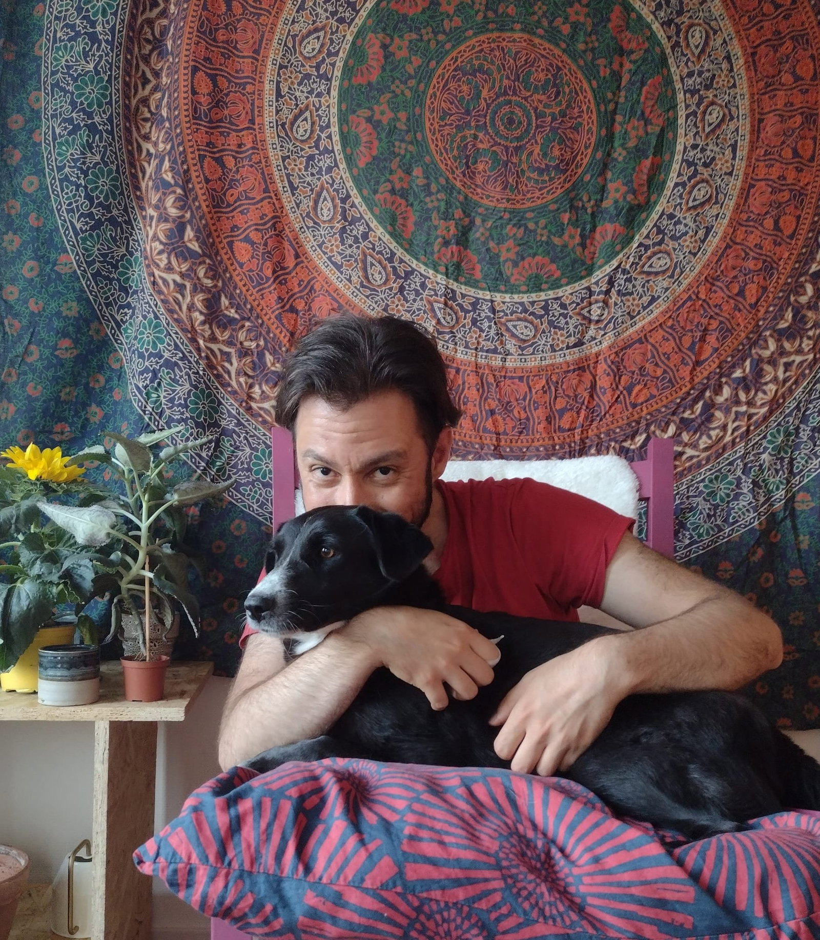 Savalan, pet sitter in Amsterdam, photo 5