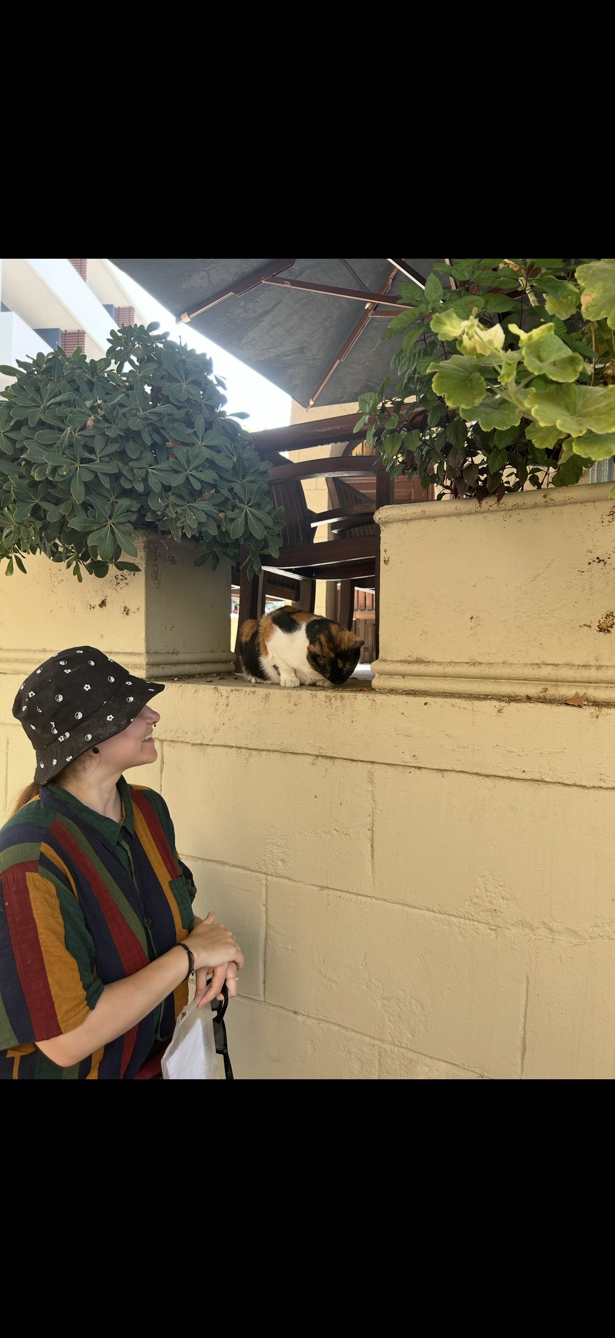 Anastazja, pet sitter in 's-Hertogenbosch, photo 4
