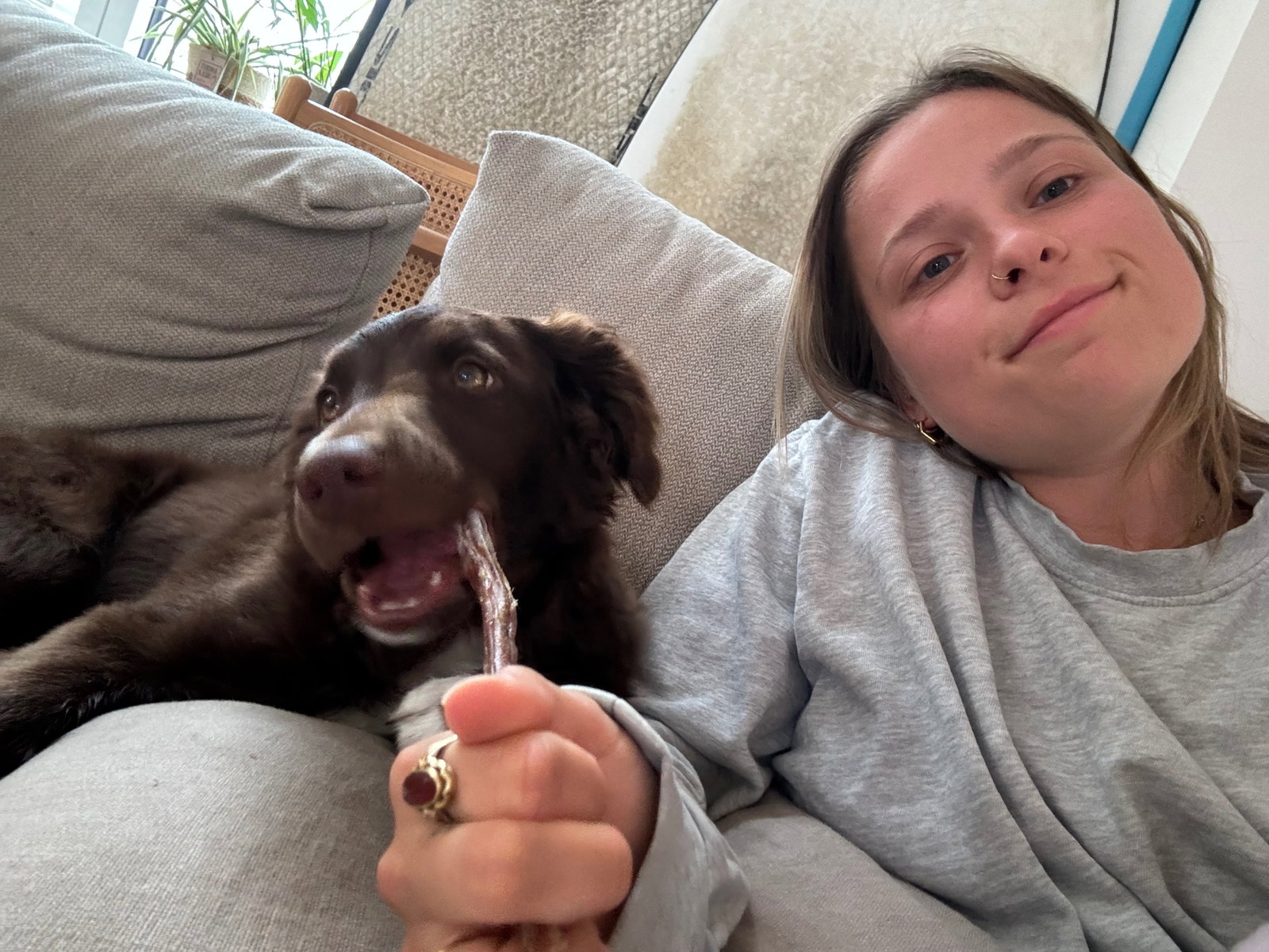 Kim, pet sitter in Zandvoort, photo 2