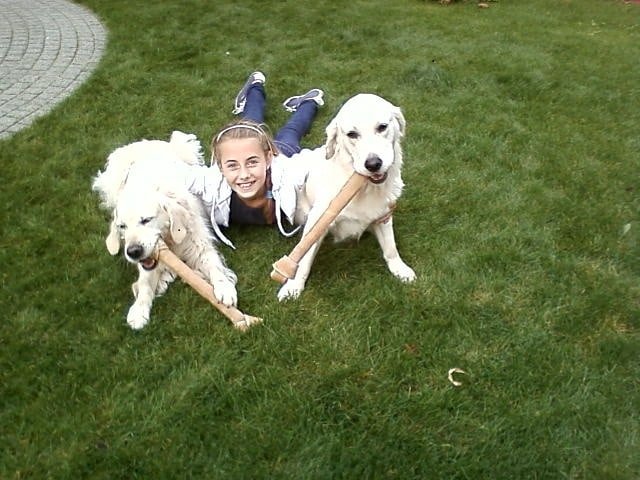 Merel, pet sitter in Eindhoven, photo 3