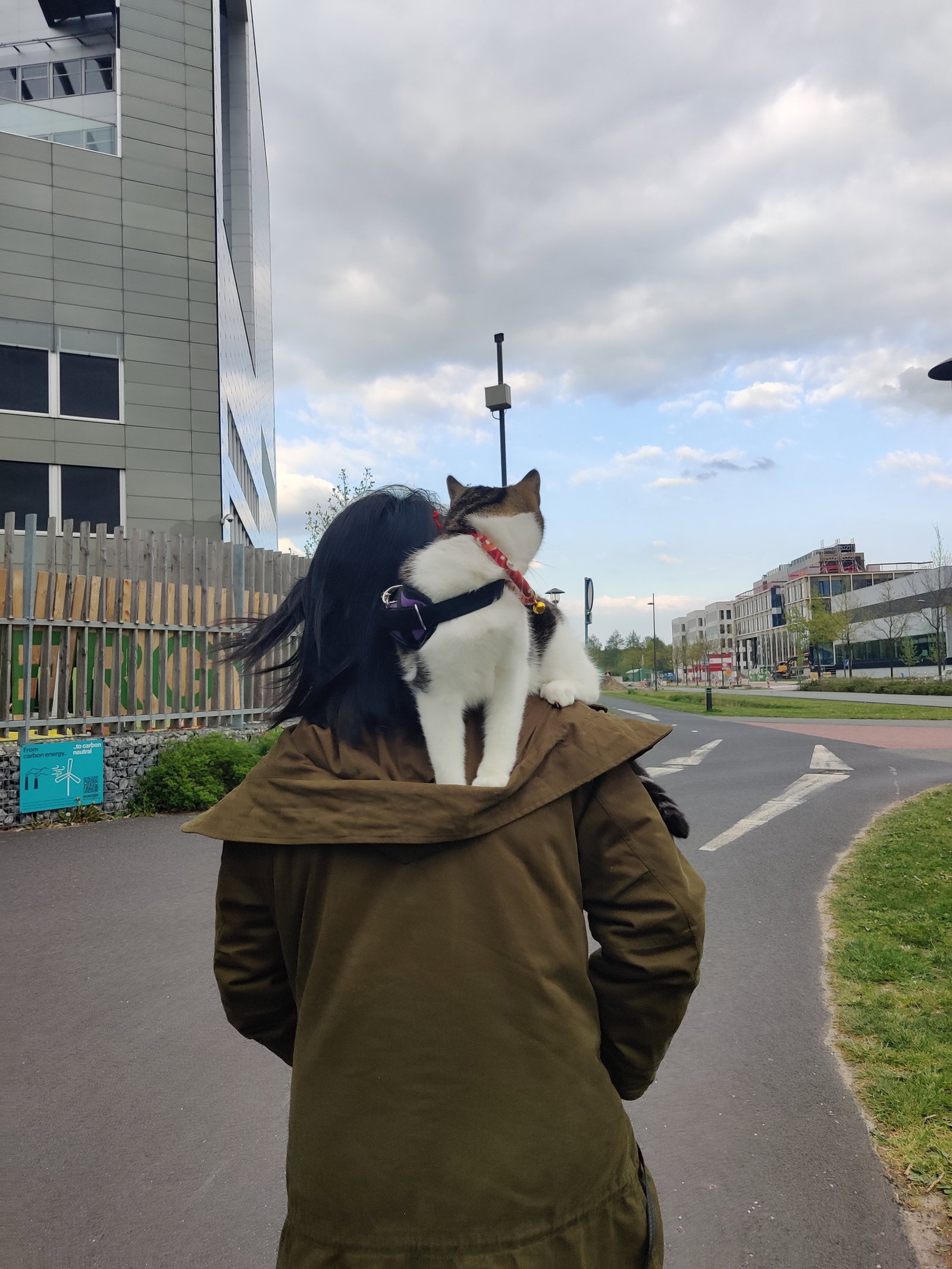 Han, pet sitter in Lelystad, photo 2