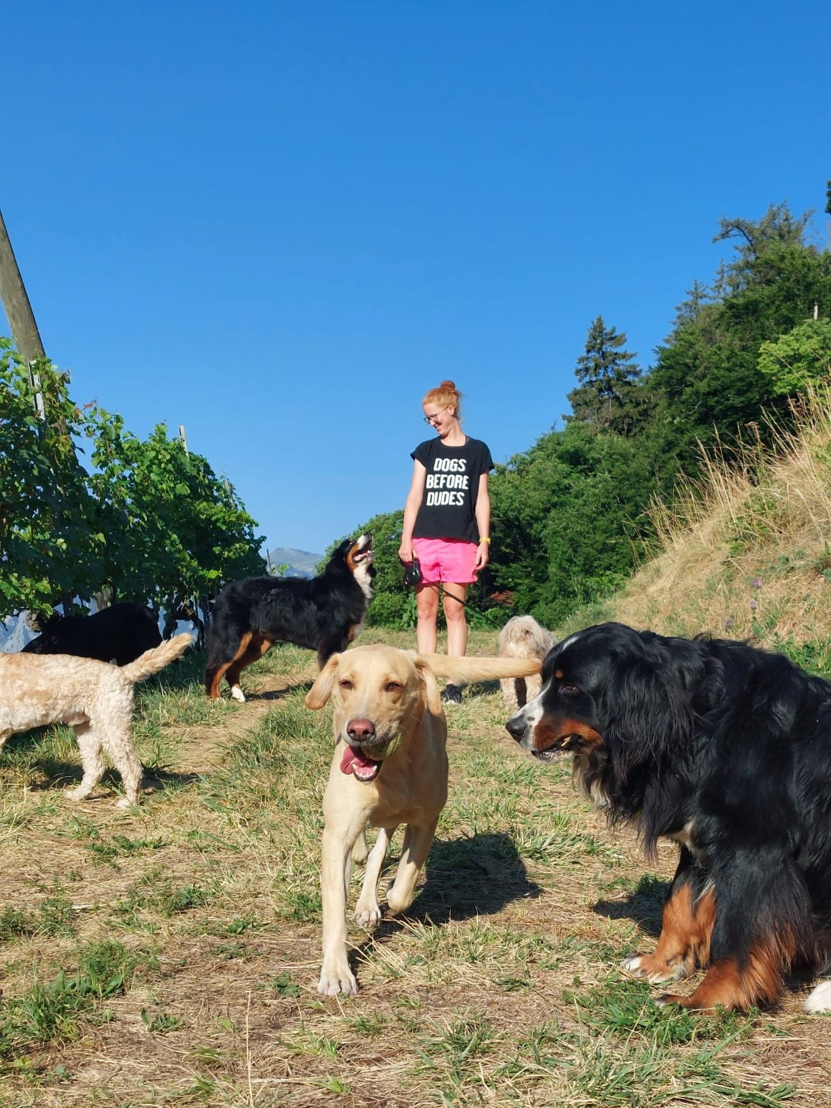 Moniek, pet sitter in Nieuwegein , photo 1