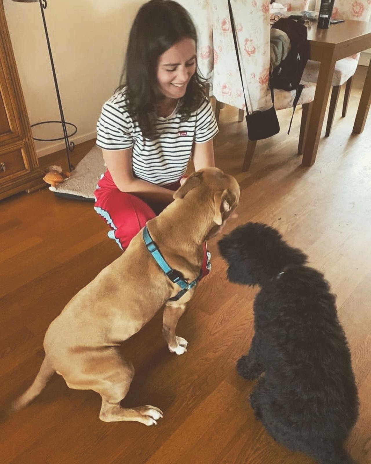 Sofie, pet sitter in Rotterdam, photo 4