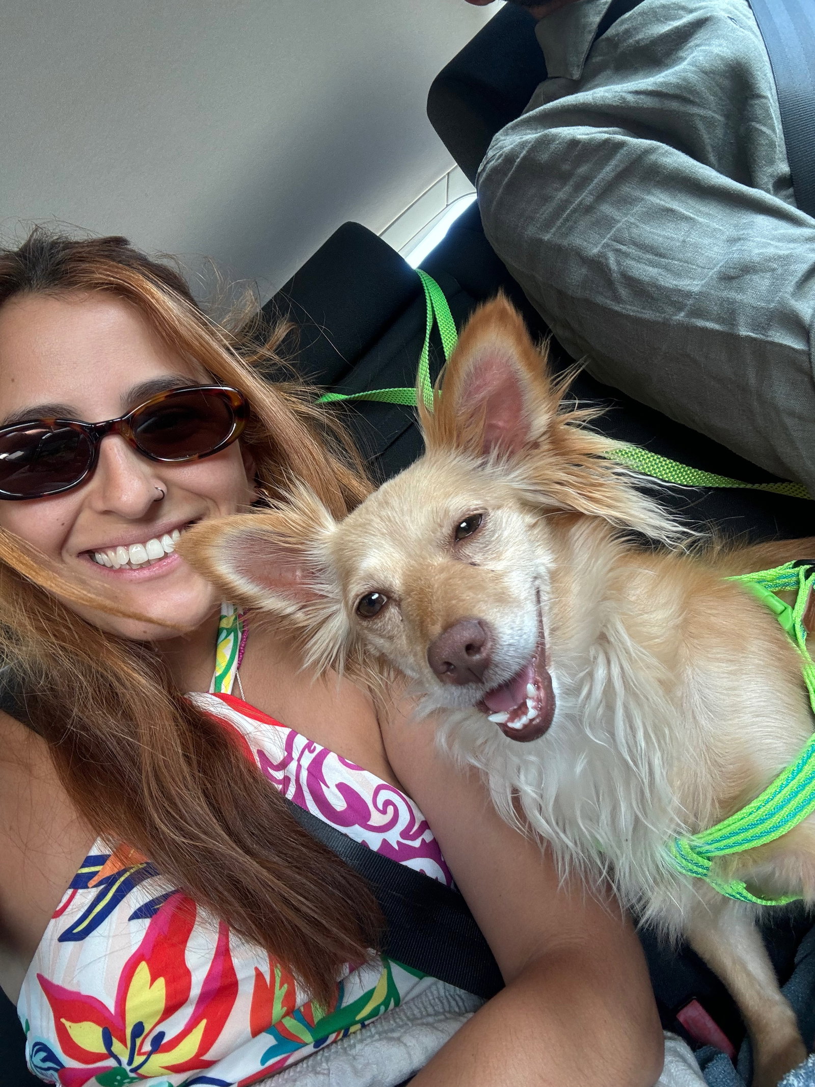 Carolina, pet sitter in Schiedam, photo 1