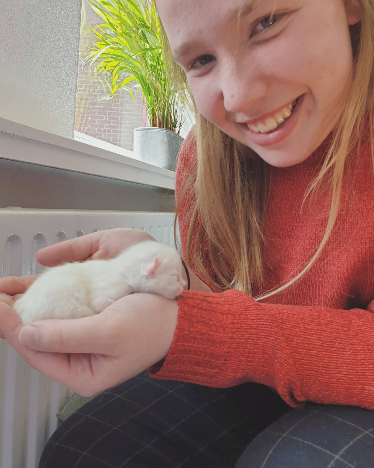Dionne, dierenoppas in Nieuwegein, foto 1