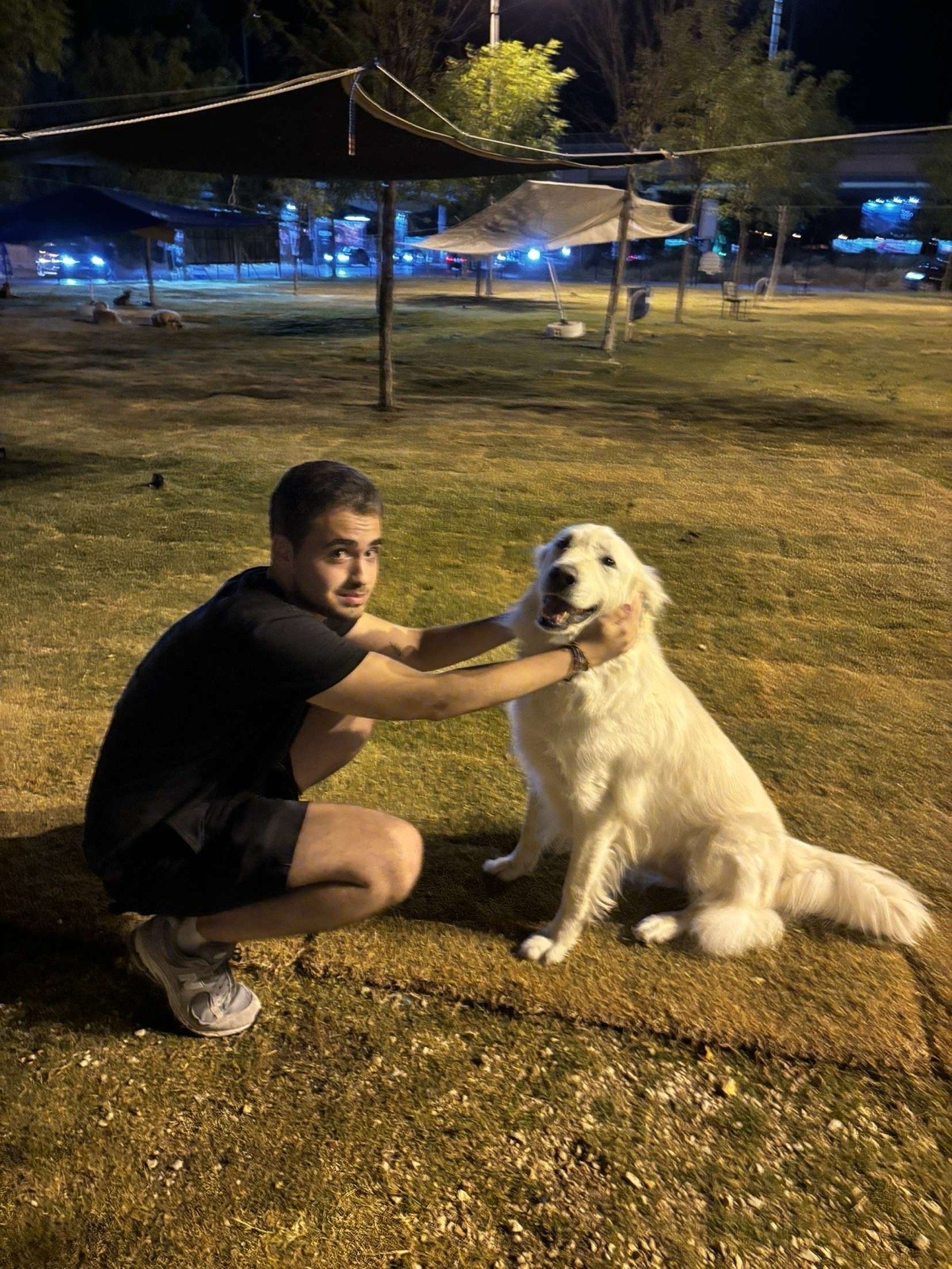 Eren, pet sitter in Amsterdam, photo 4