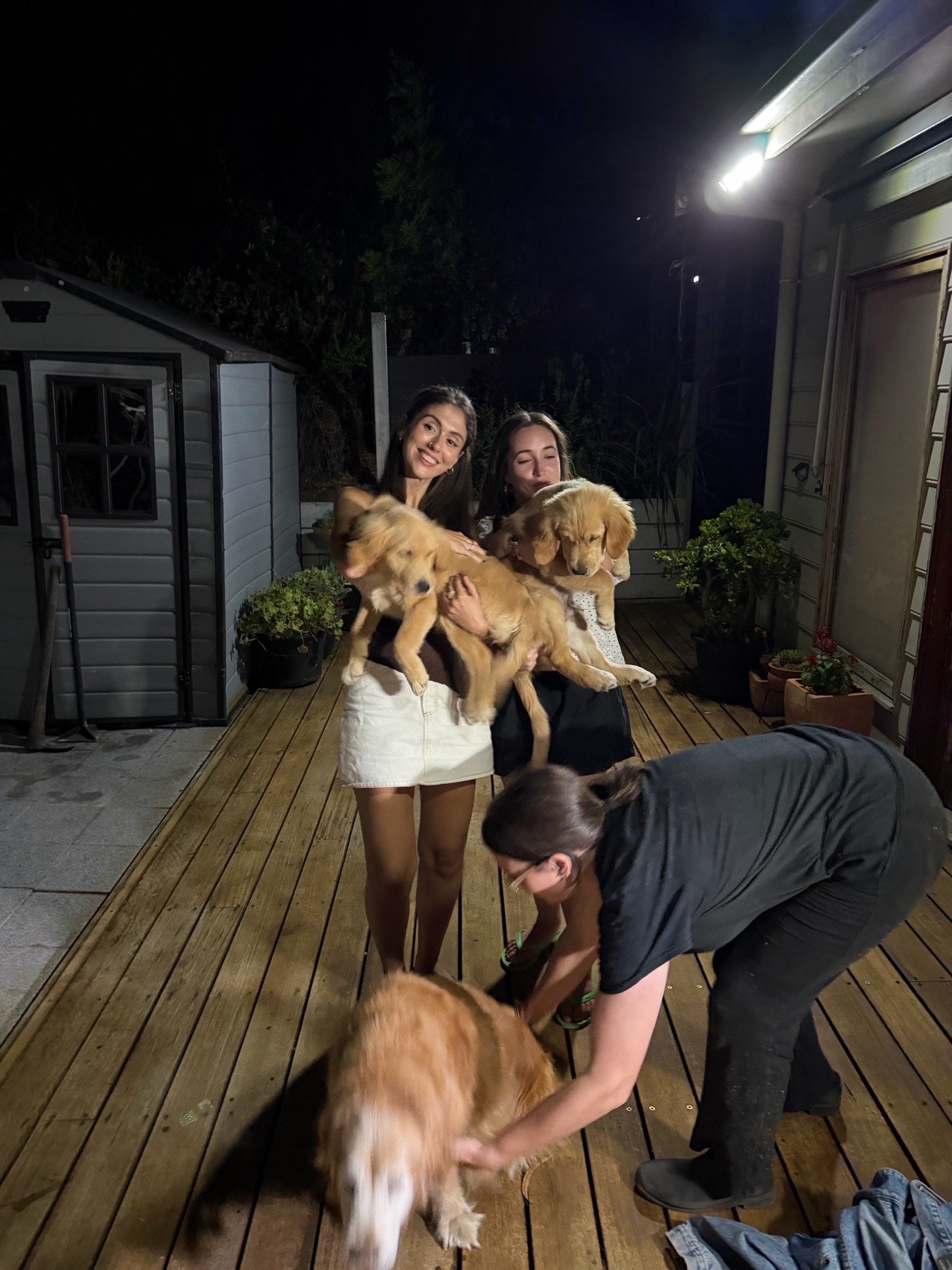 Dara, pet sitter in Amsterdam, photo 4