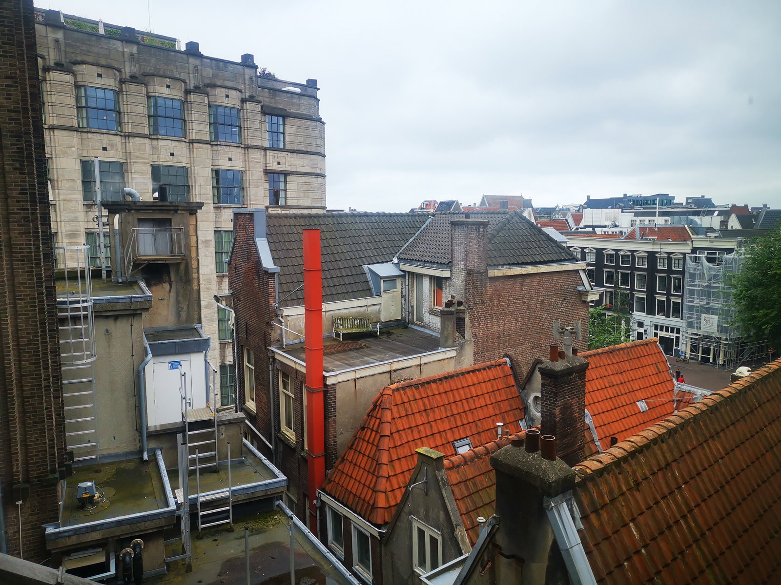 Zita, dierenoppas in Amsterdam, foto 3
