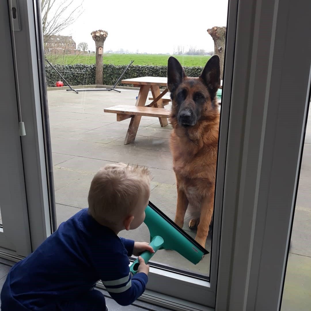 Philip, pet sitter in Hoogblokland, photo 2