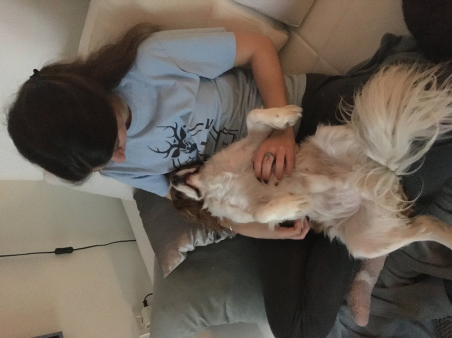 Iva, pet sitter in Amsterdam , photo 3