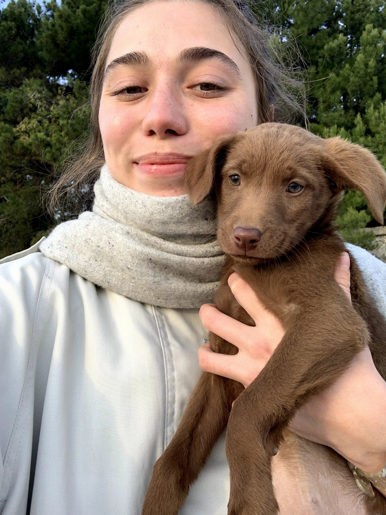 Emiliia, pet sitter in Apeldoorn, photo 1