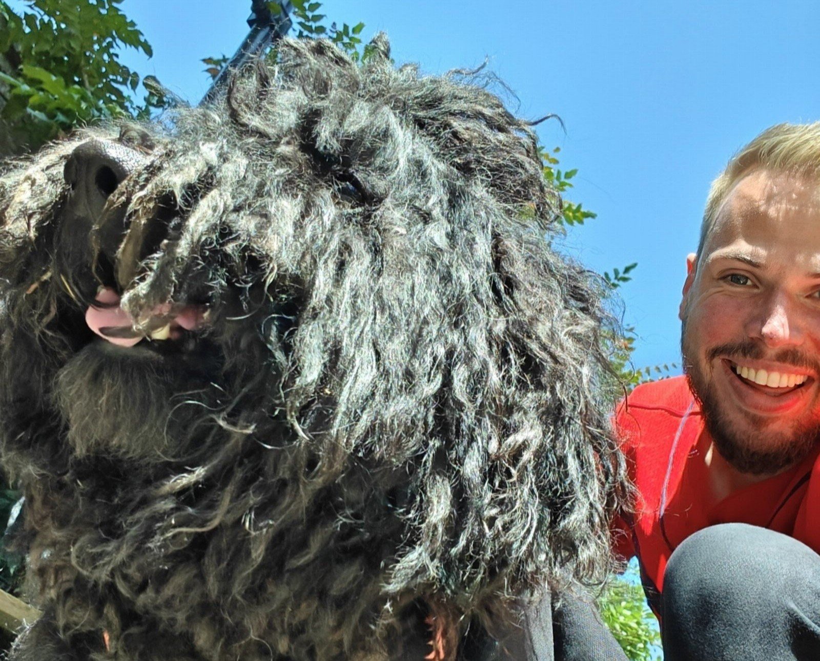 Jesse, pet sitter in Rotterdam, photo 5