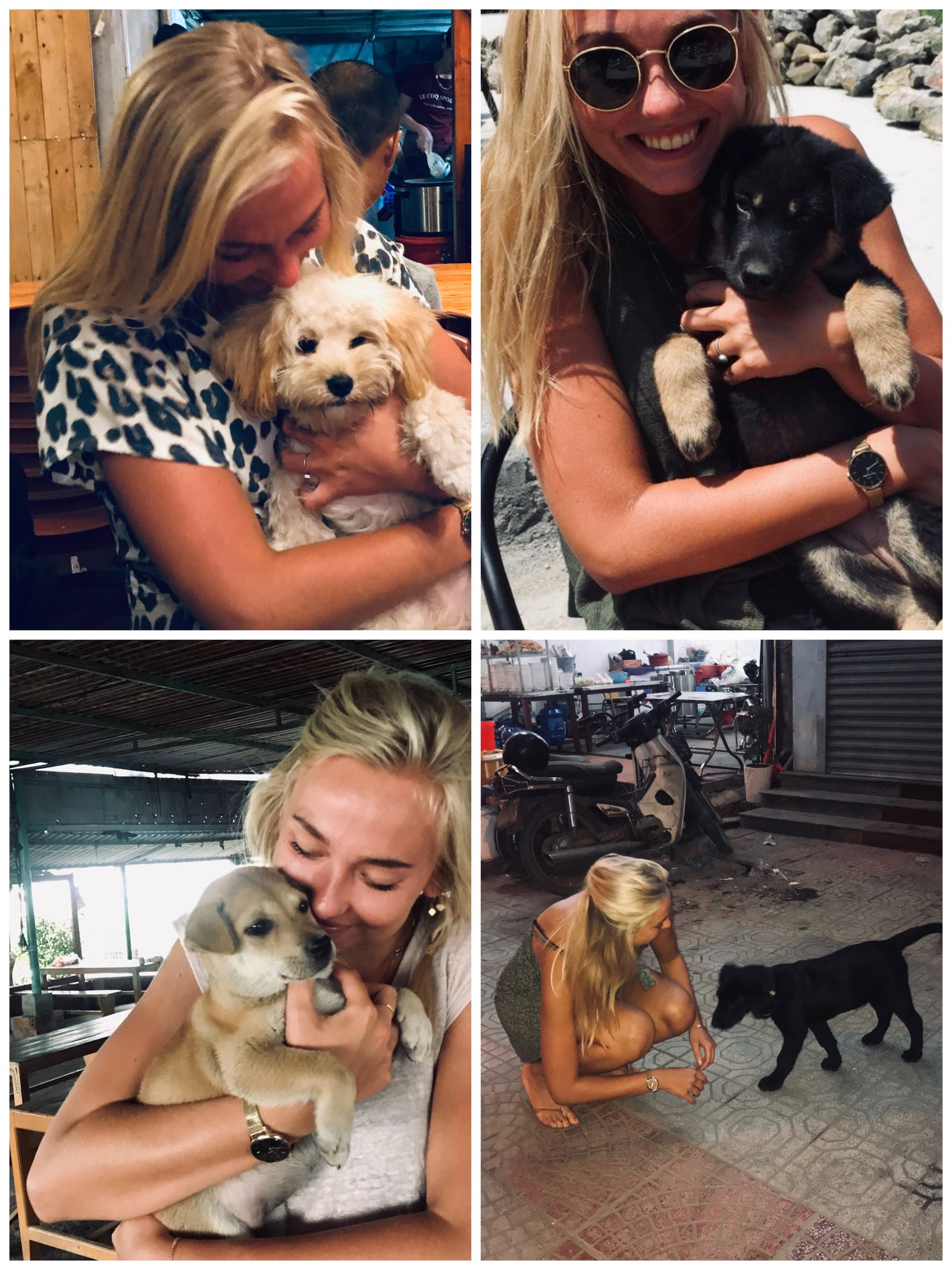 Lotte, pet sitter in Groningen, photo 5