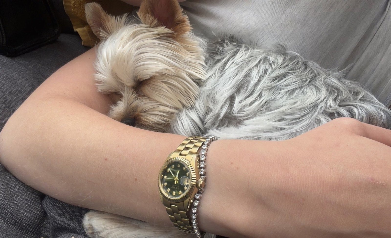 Martyna, pet sitter in Breda, photo 1