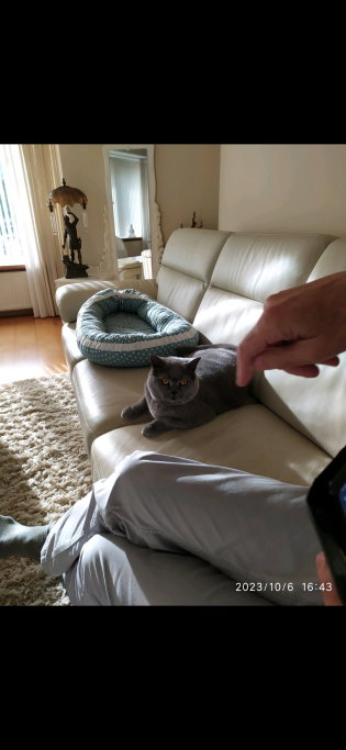 Petra, pet sitter in Enkhuizen, photo 3