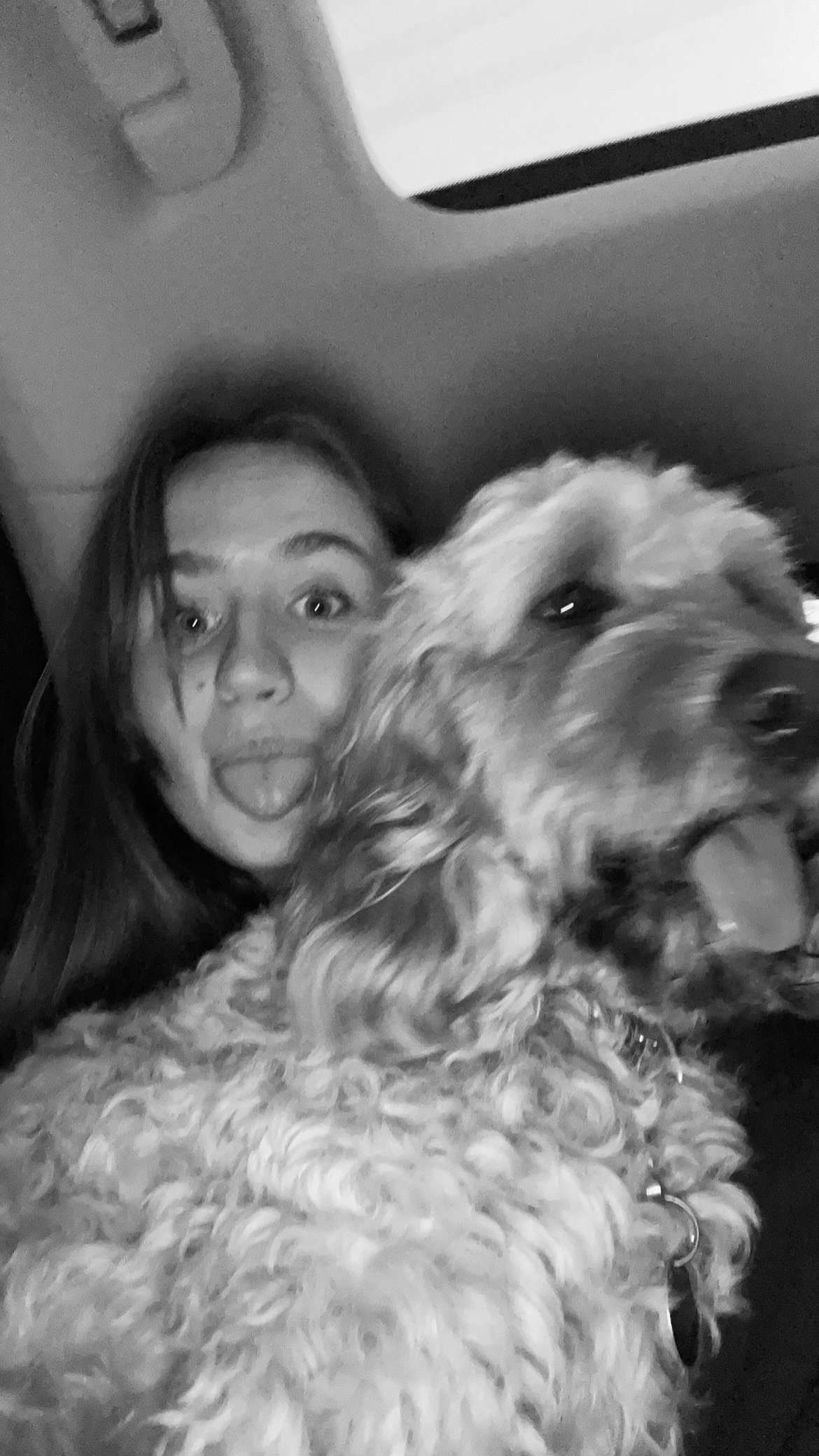 Zoë, pet sitter in Amsterdam, photo 4