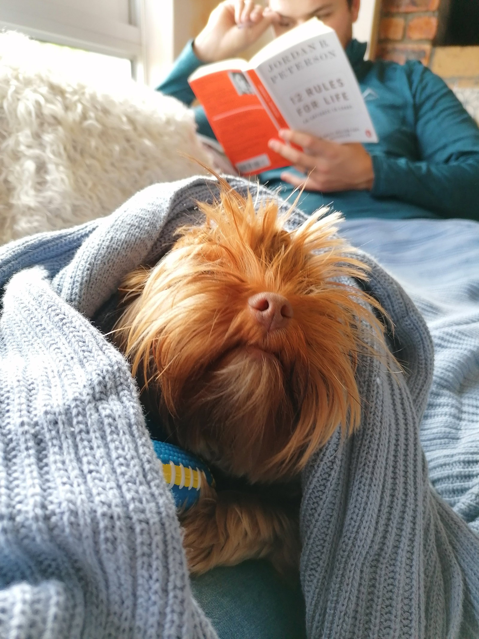 Wilma, pet sitter in Den Haag, photo 1