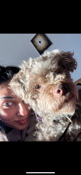 Darya, pet sitter in Frankfurt am Main, photo 1