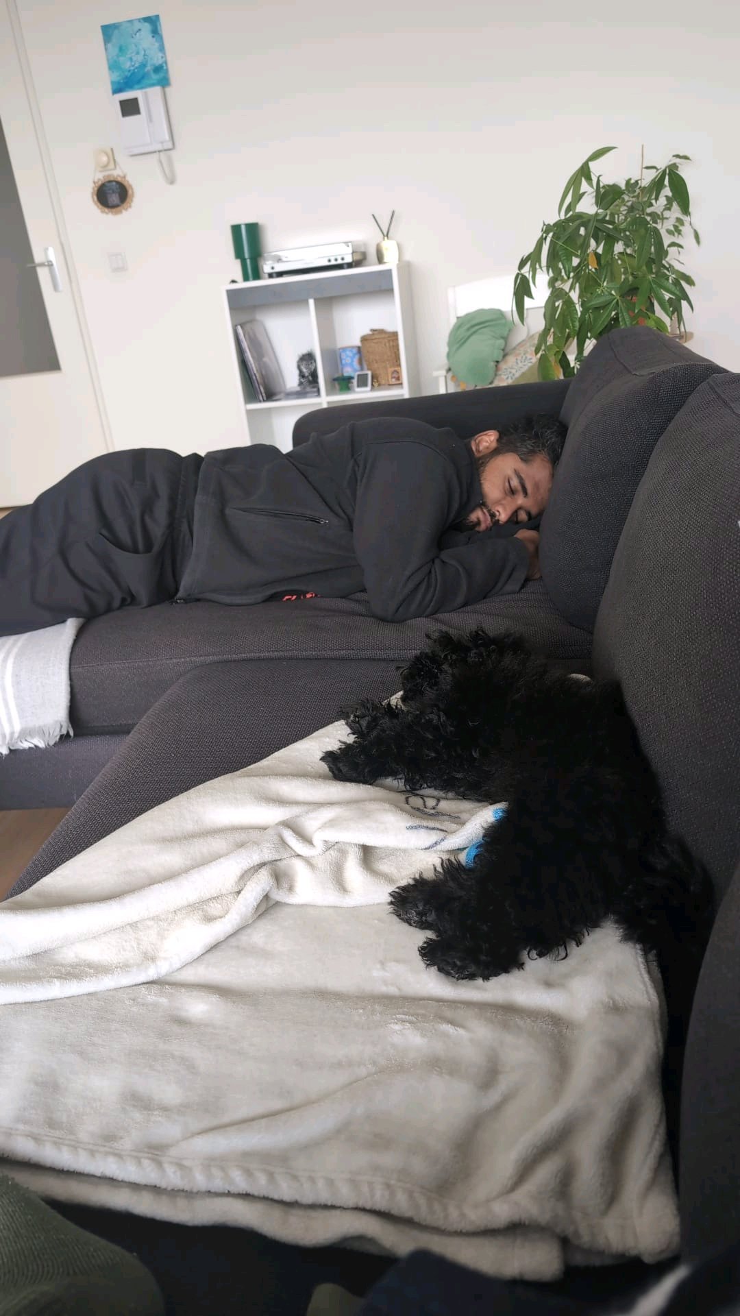 Neeraj Kumar, dierenoppas in Utrecht, foto 5