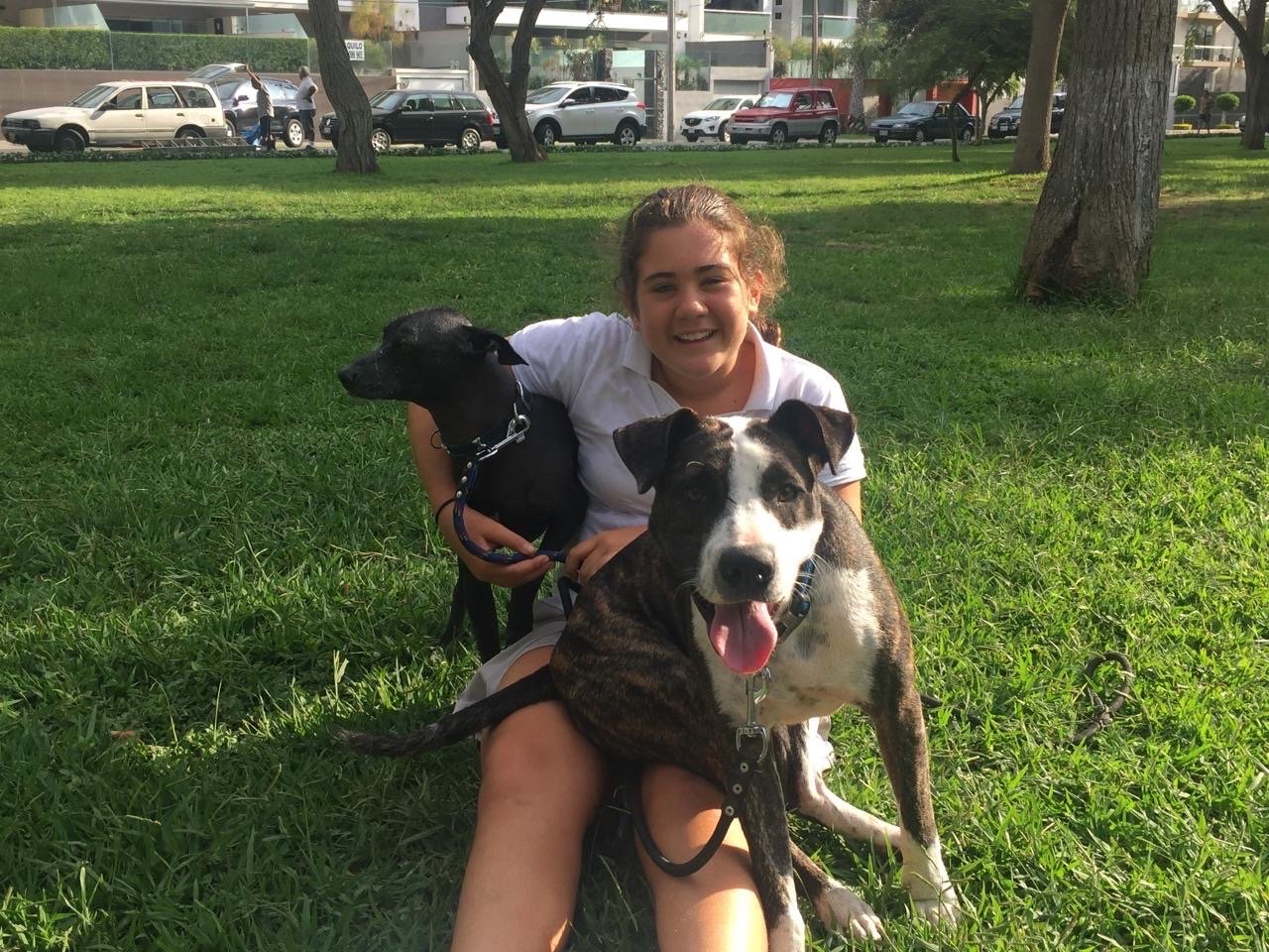 francisca, pet sitter in Rotterdam, photo 1