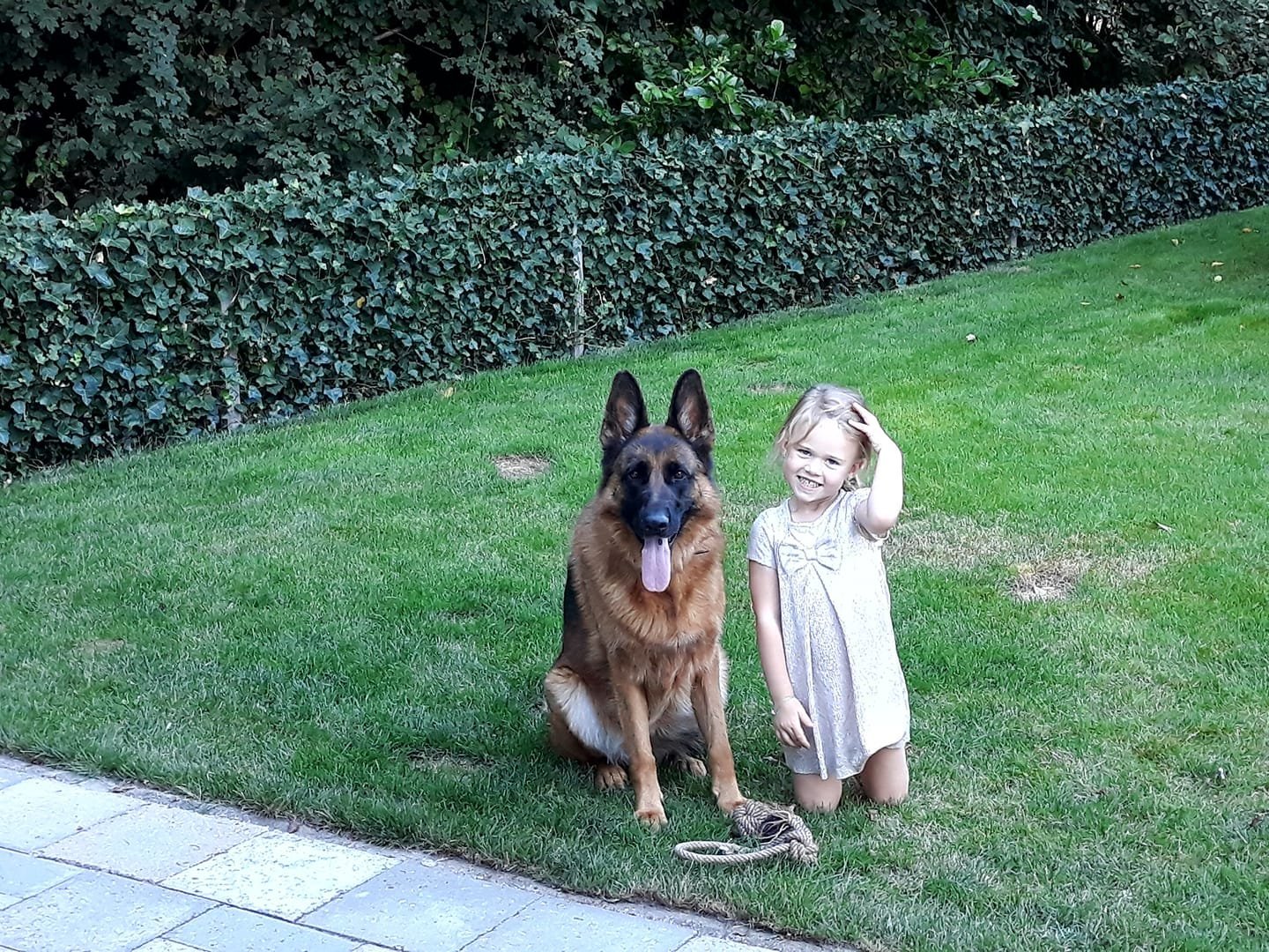 Philip, pet sitter in Hoogblokland, photo 4