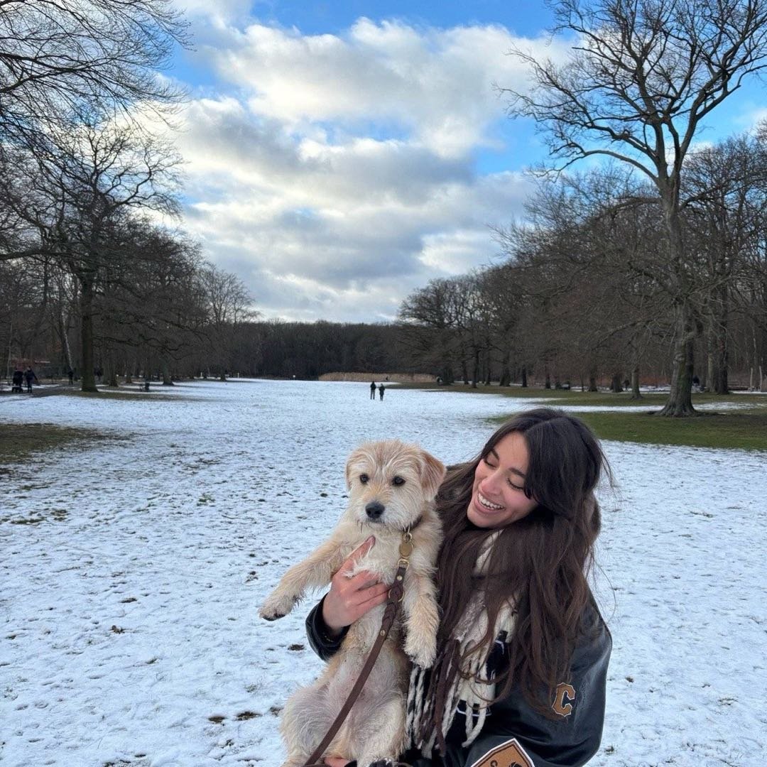 Annalisa, pet sitter in Grünwald, photo 4