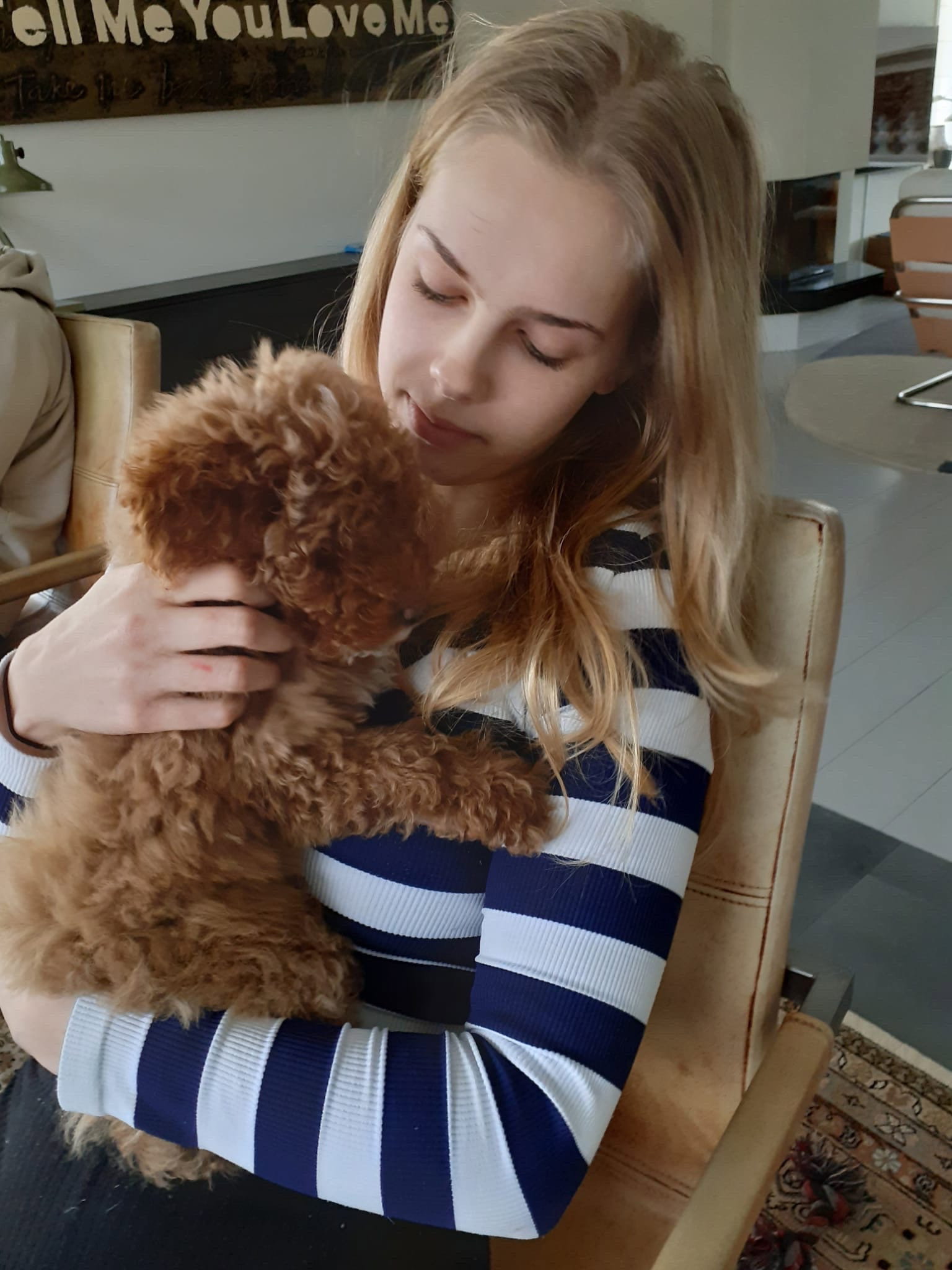Emmy, pet sitter in Dronten, photo 2
