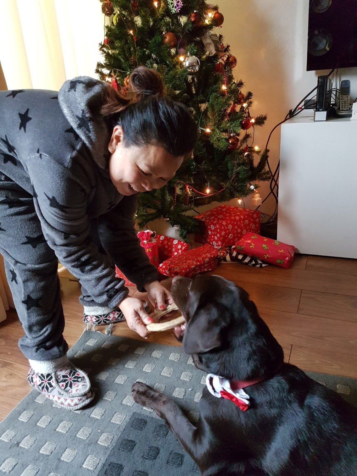 Lena, pet sitter in Utrecht, photo 1