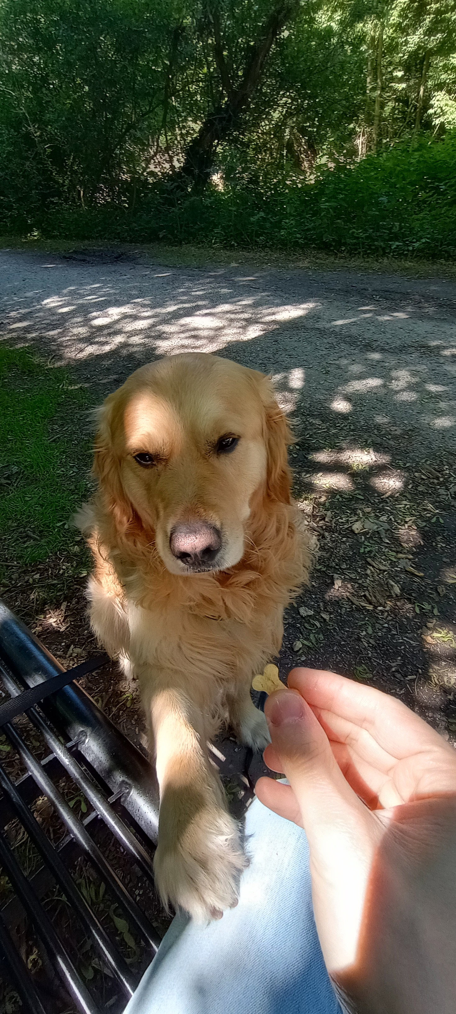 Andrea, pet sitter in 's-Gravenhage, photo 3
