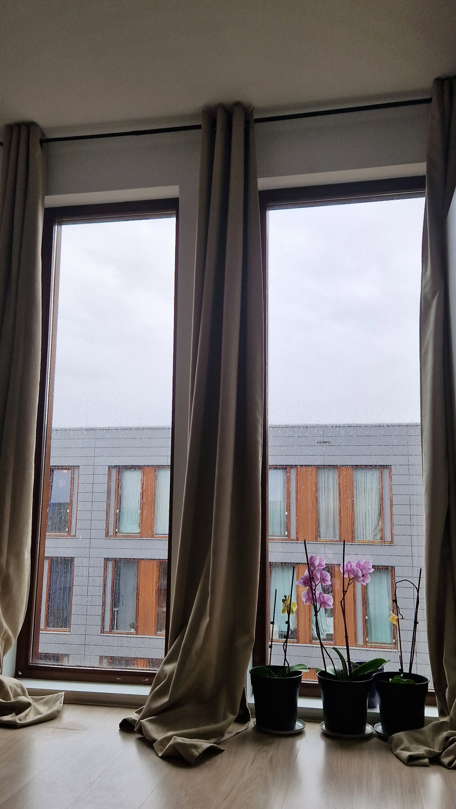 Isidora, pet sitter in Amsterdam, photo 3