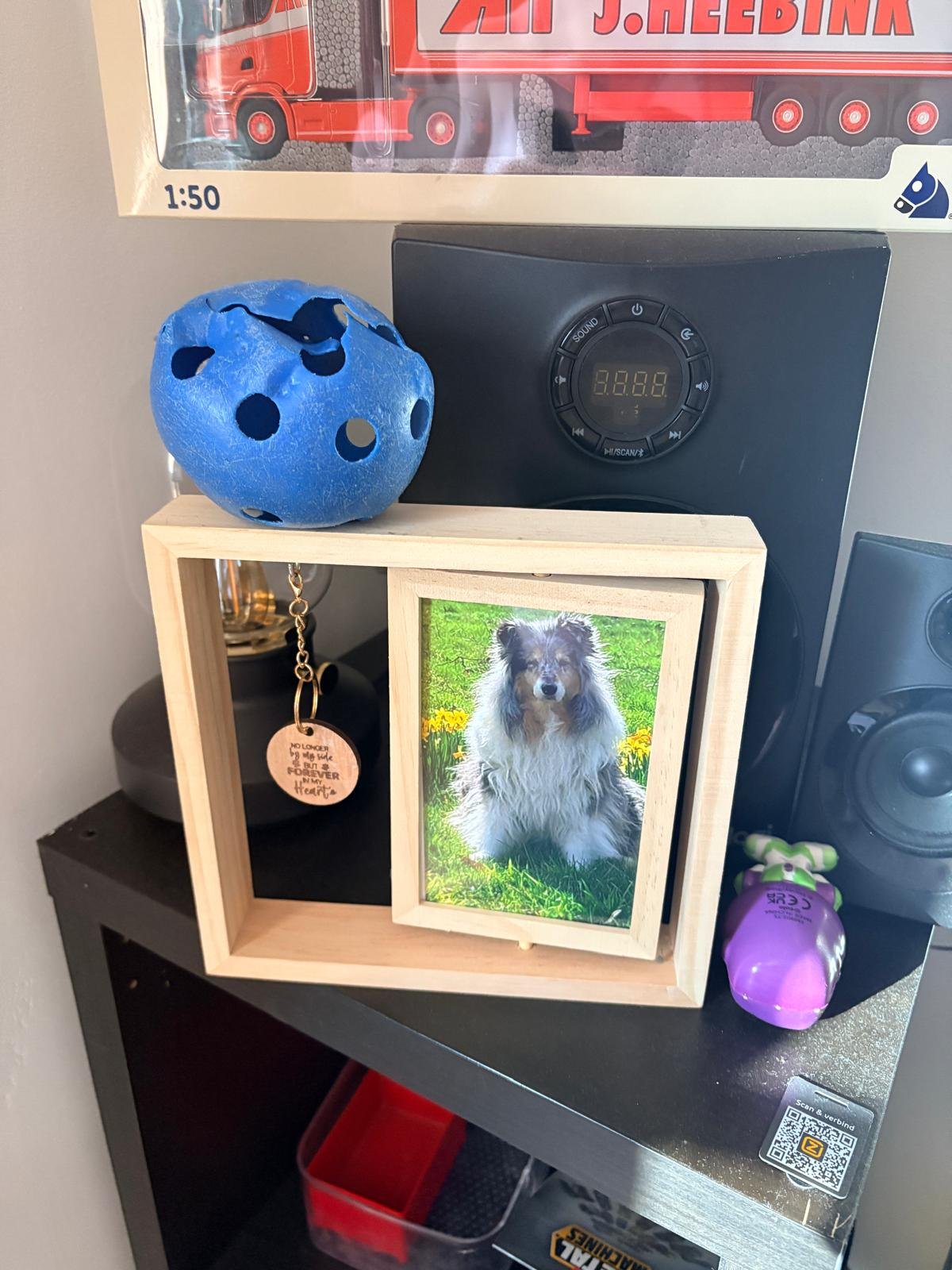Diana, pet sitter in Ede, photo 1