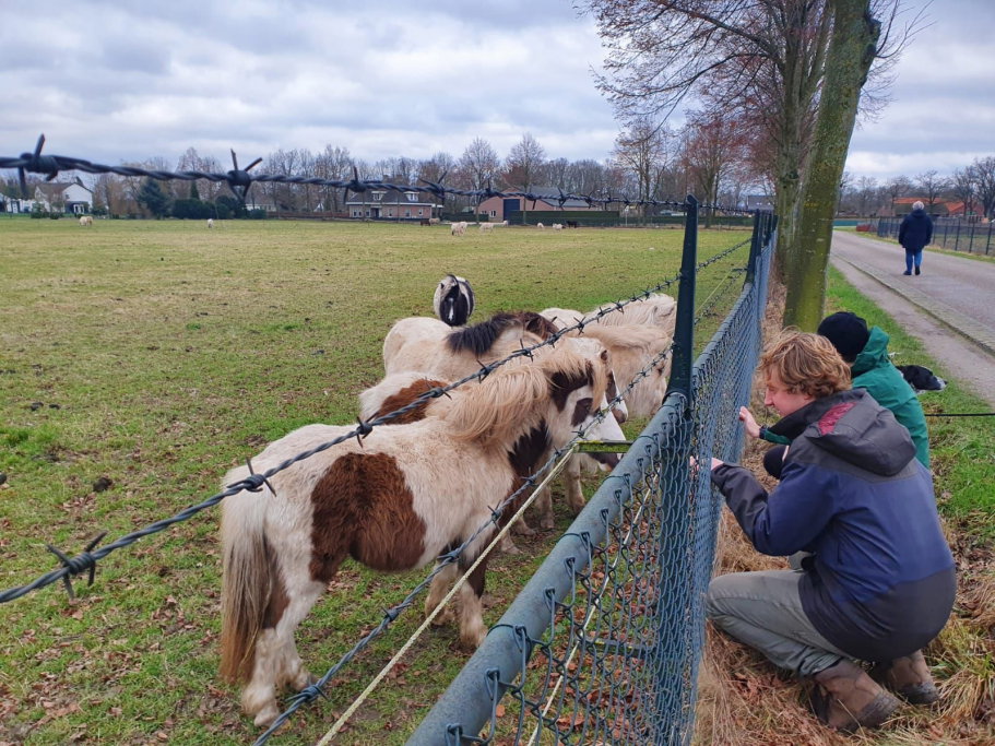 Ivo, pet sitter in Amsterdam, photo 2