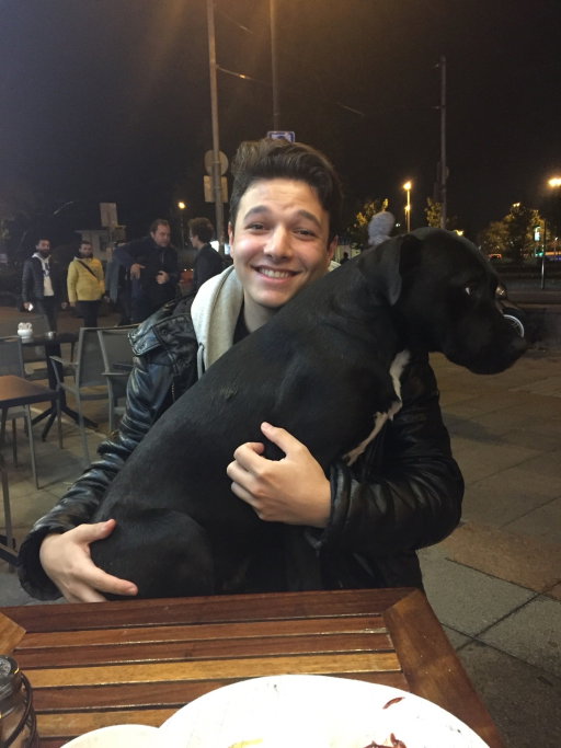 Sercem, pet sitter in Soest, photo 5